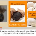 may-lam-toi-den-Fuki-FK-909-vang-gold-5