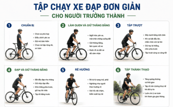 Tập Chạy Xe Đạp Đơn Giản cho Người Trưởng Thành